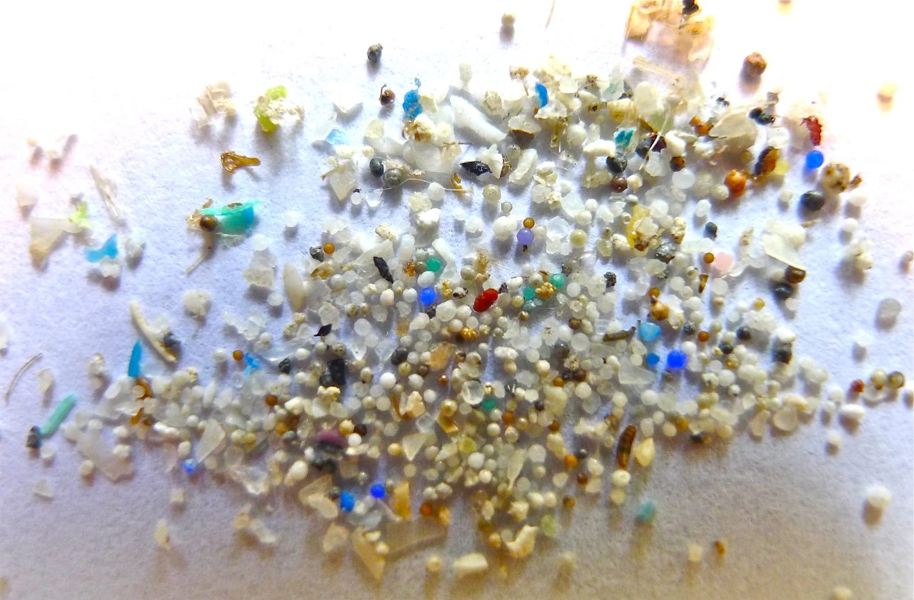 Rinnovabili • microplastics