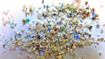 Rinnovabili • microplastics