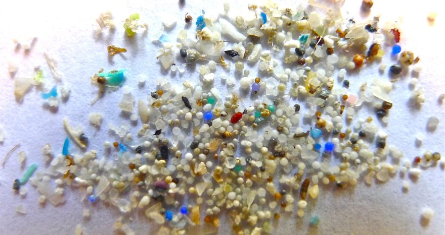 Rinnovabili • microplastics