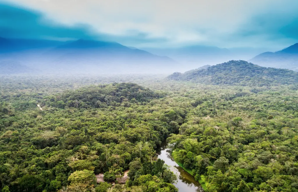 Amazon rainforest dieback