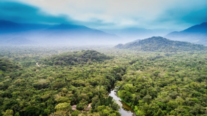 Rinnovabili • Amazon rainforest dieback