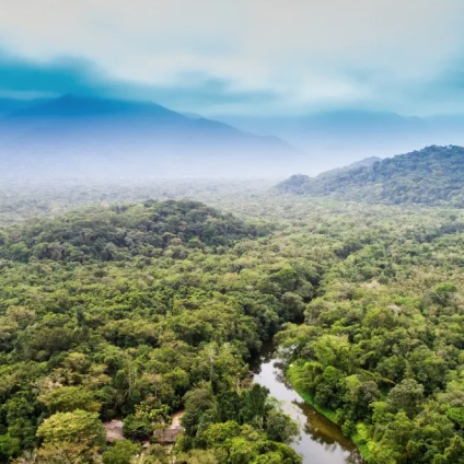 Rinnovabili • Amazon rainforest dieback