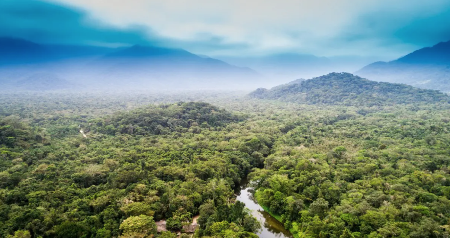 Rinnovabili • Amazon rainforest dieback