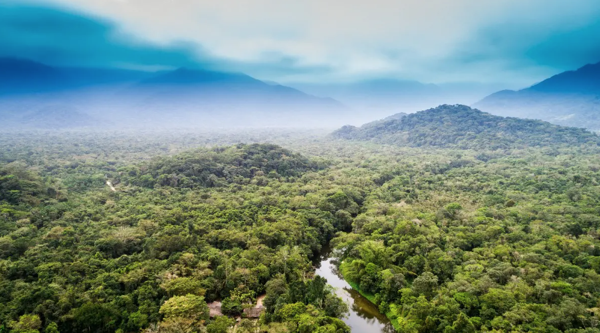 Rinnovabili • Amazon rainforest dieback