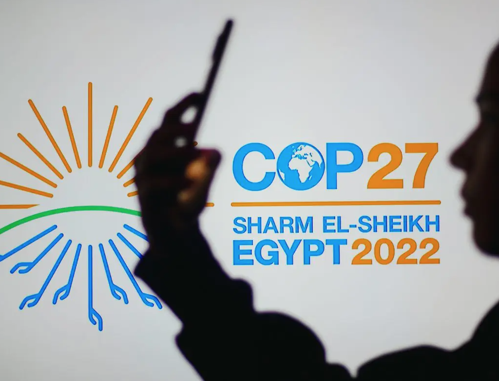 cop27