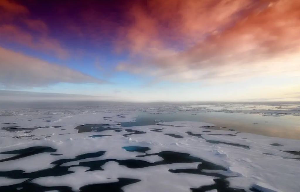 Arctic sea ice