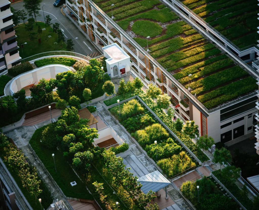 roof garden