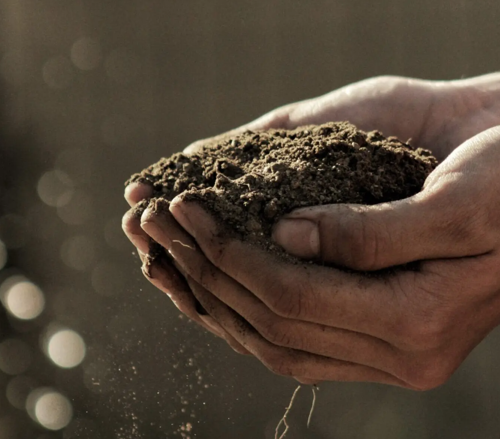 World Soil Day 2022