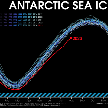 Rinnovabili • sea ice in Antarctica