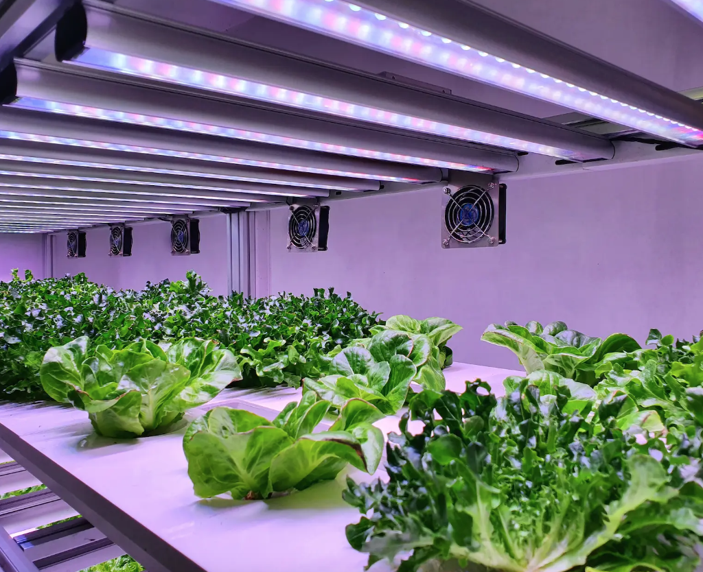 Biolelectronic hydroponics