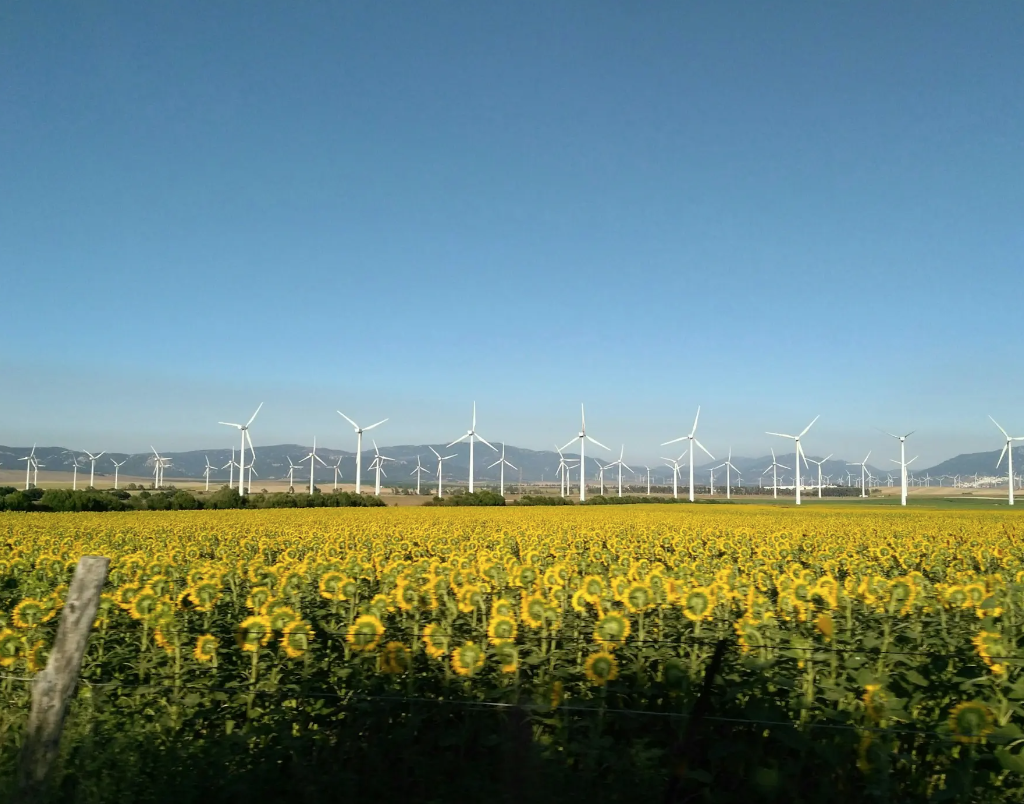 Renewable electricity EU