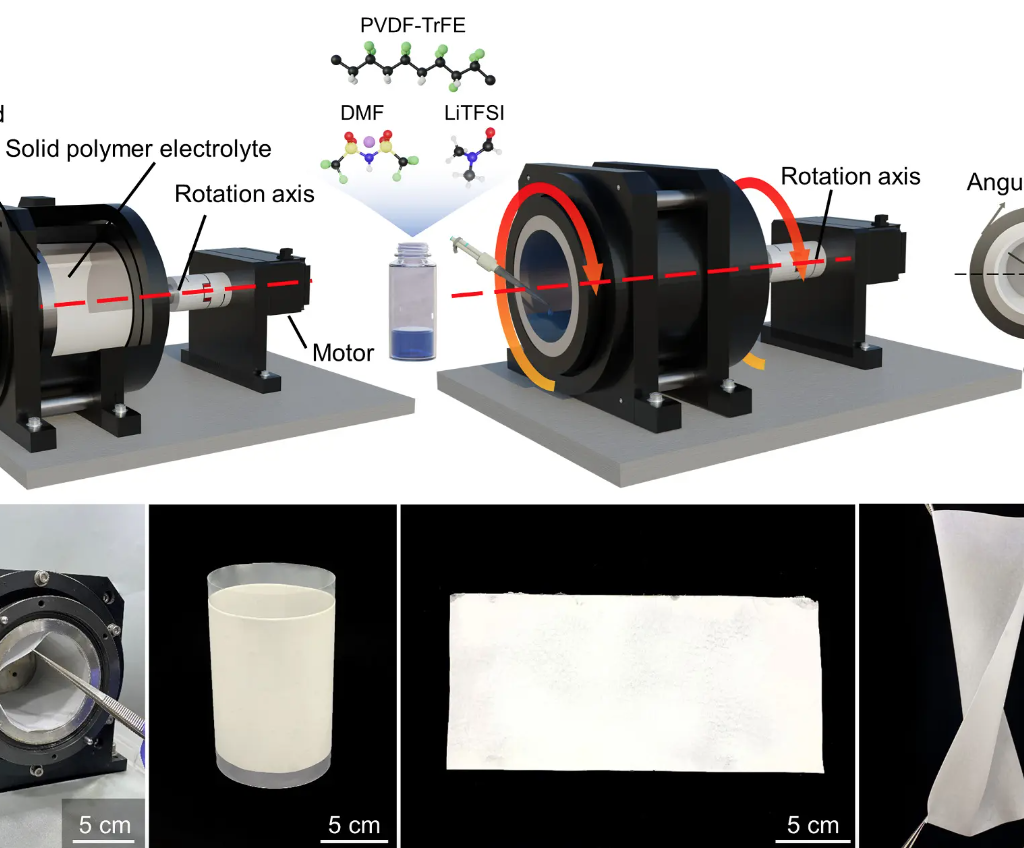 polymer solid electrolytes