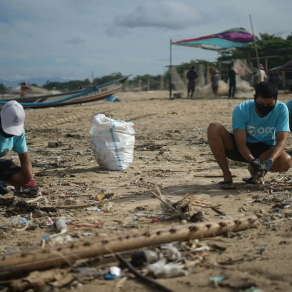 Rinnovabili • microplastic pollution