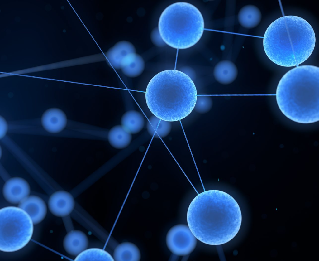 biological thermosetting polymers