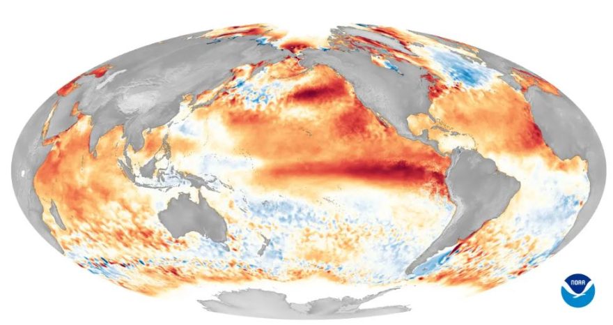 Rinnovabili • impact of El Niño