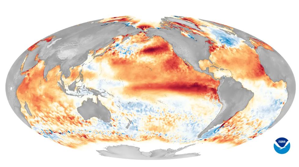 Rinnovabili • impact of El Niño