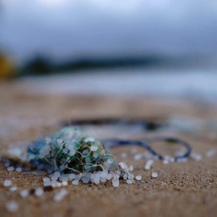 Rinnovabili • microplastics