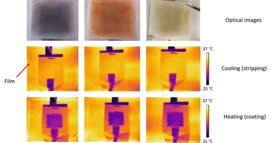 Rinnovabili • Thermal insulation