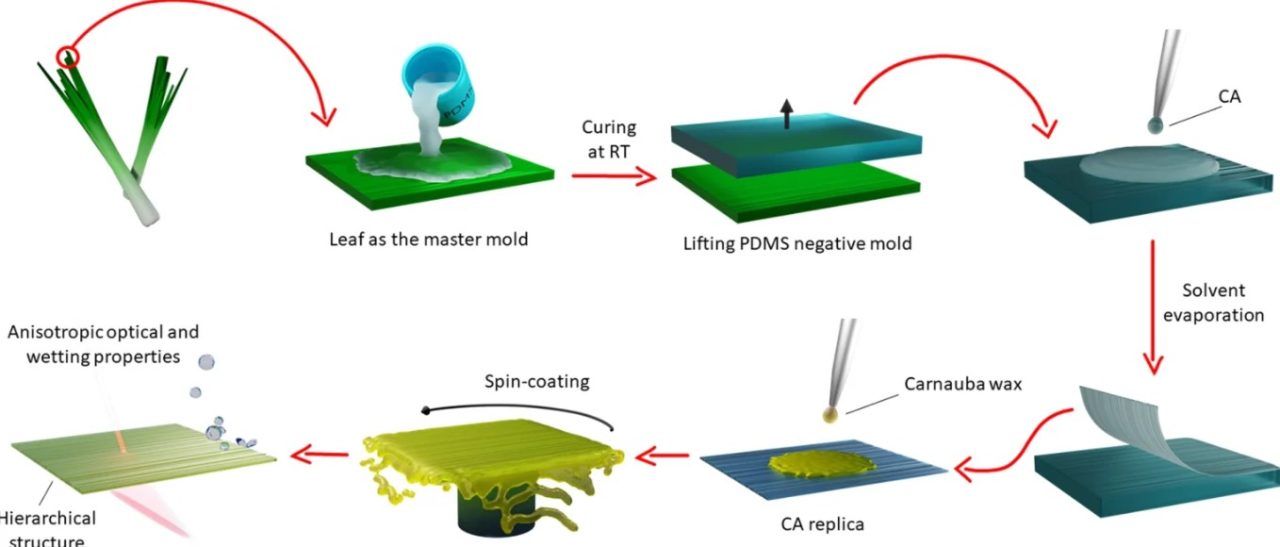 Rinnovabili • solar cells