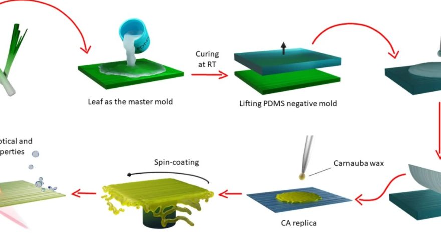 Rinnovabili • solar cells