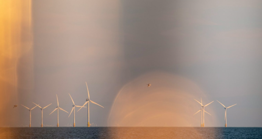 Rinnovabili • offshore wind sector