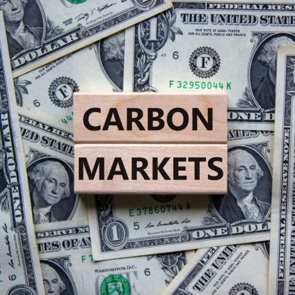 Rinnovabili • COP29 Results on Carbon Markets: Decisions on Article 6