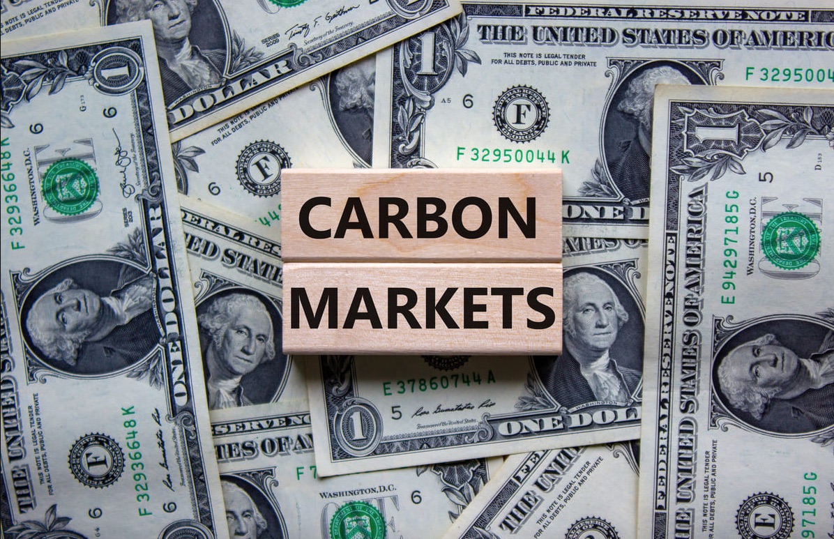 Rinnovabili • COP29 Results on Carbon Markets: Decisions on Article 6