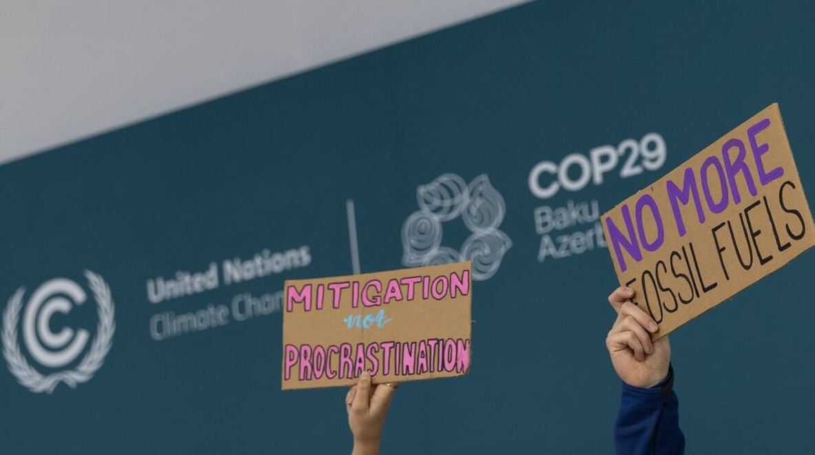 Rinnovabili • What did COP29 establish about the reduction of greenhouse gas emissions?