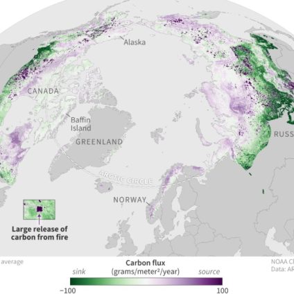 Rinnovabili • Arctic tundra: now emits more CO2 than it captures