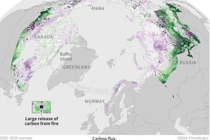 Rinnovabili • Arctic tundra: now emits more CO2 than it captures