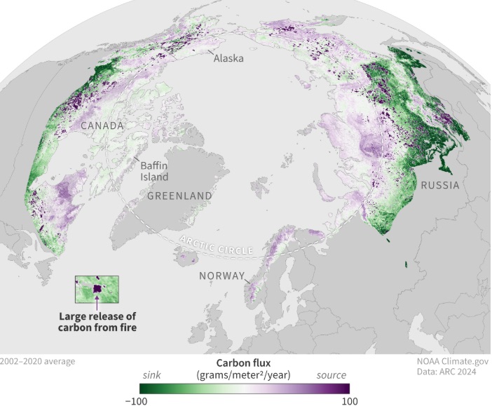 Rinnovabili • Arctic tundra: now emits more CO2 than it captures