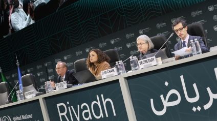 Rinnovabili • Desertification: COP16 in Riyadh Ends in Failure, No Agreement Reached