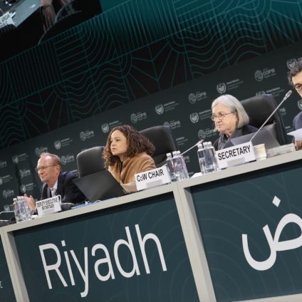 Rinnovabili • Desertification: COP16 in Riyadh Ends in Failure, No Agreement Reached