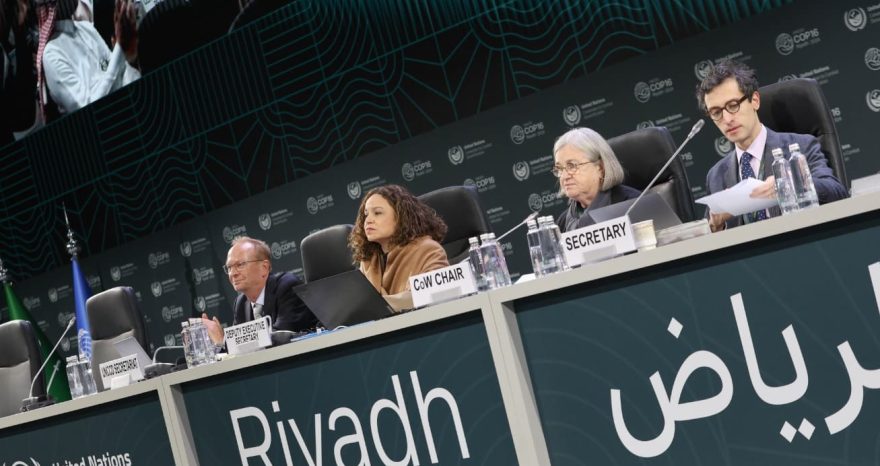 Rinnovabili • Desertification: COP16 in Riyadh Ends in Failure, No Agreement Reached