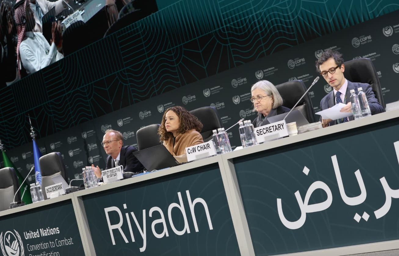 Rinnovabili • Desertification: COP16 in Riyadh Ends in Failure, No Agreement Reached