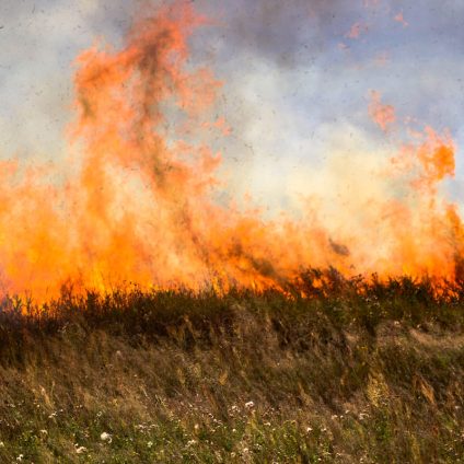 Rinnovabili • Wildfires in Brazil Destroyed an Area the Size of Italy in 2024