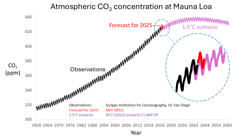 CO2 Concentration Hits Record High in 2024: 26% Increase Beyond Expectations